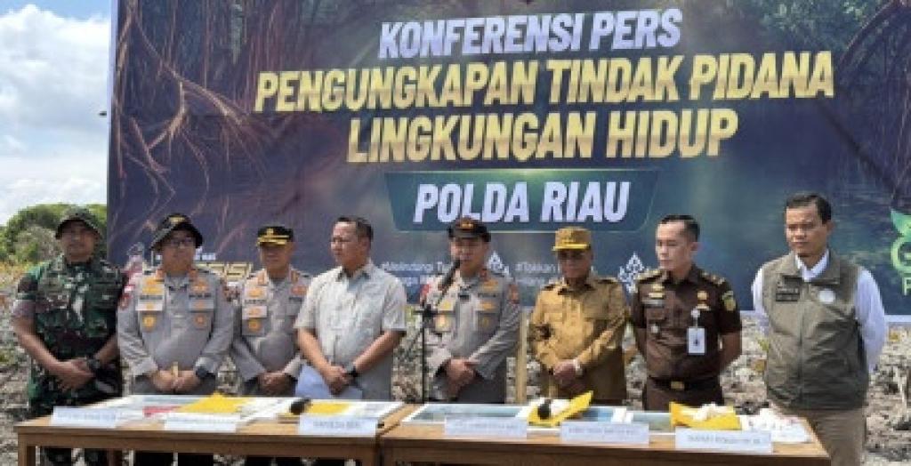 Bupati Rohil Apresiasi Polda Riau Ungkap Perusakan 118 Hektare Hutan Mangrove