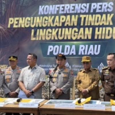 Bupati Rohil Apresiasi Polda Riau Ungkap Perusakan 118 Hektare Hutan Mangrove