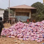 Karantina Kepri Musnahkan 29 Ton Bawang Putih Asal China di Batam
