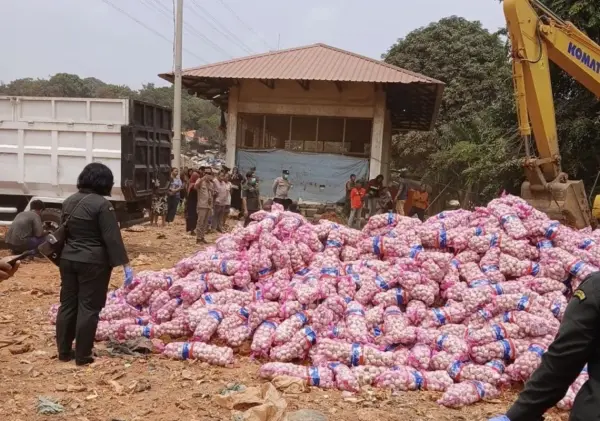 Karantina Kepri Musnahkan 29 Ton Bawang Putih Asal China di Batam