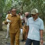 Salak Sari Intan Bintan Berpotensi Jadi Produk Unggulan Kepri