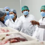 Kepri Perkuat Hilirisasi Perikanan, Pabrik Pengolahan Ikan Baru Diresmikan di Bintan