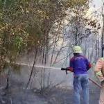 UPTD Damkar Tanjung Uban Padamkan Kebakaran Lahan di Teluk Sebong