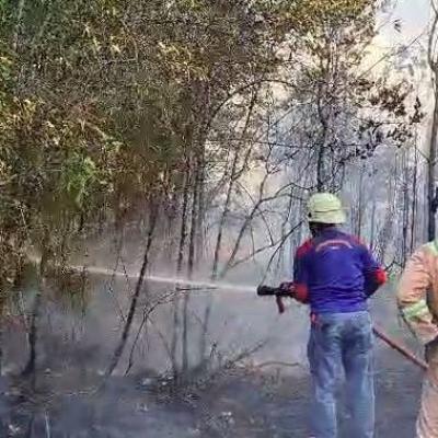 UPTD Damkar Tanjung Uban Padamkan Kebakaran Lahan di Teluk Sebong