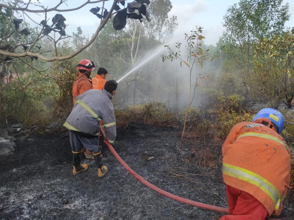 150 Kali Karhutla, 68 Hektare Lahan Terbakar di Tanjungpinang Sepanjang 2026