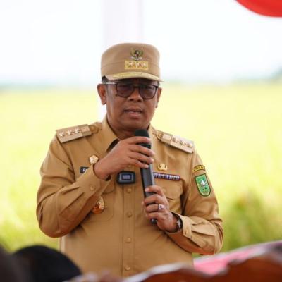 Riau Dorong Swasembada Pangan: Panen Raya di Siak Jadi Langkah Awal