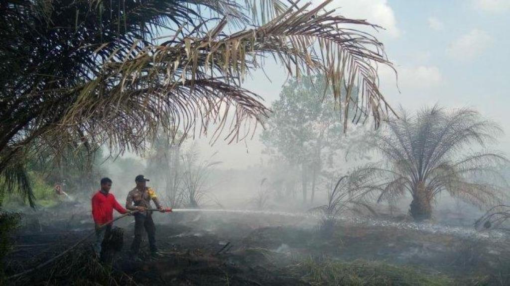 9 Hotspot Terdeteksi di Sumatera, 2 Titik Panas di Dumai