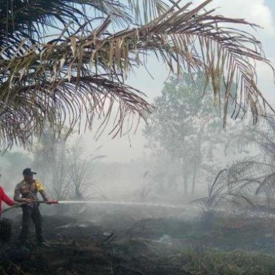 Titik Api Karhutla di Inhil Kembali Membara, Heli Water Bombing Segera DIkerahkan