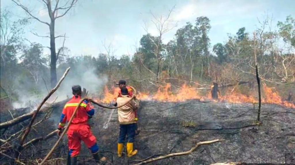 Tiga Hektar Lahan Pertanian di Dabo Singkep, Lingga Hangus Dilalap Api
