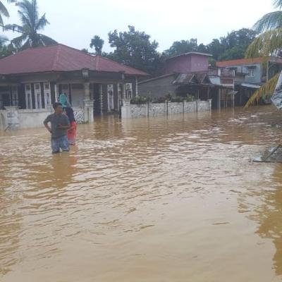 Banjir Rendam Kampar: 985 Rumah Terdampak, Desa Kuntu Terparah