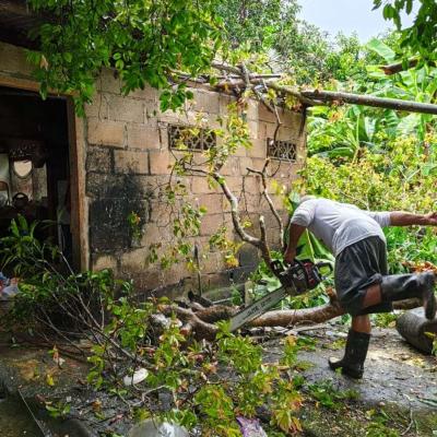 Sejumlah Rumah Warga di Kabupaten Bintan Rusak Akibat Angin Kencang dan Tertimpa Pohon