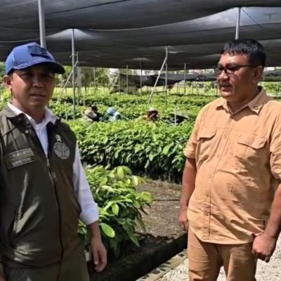 Pulihkan Tesso Nilo, Menhut Raja Juli Antoni Siapkan Bibit Kulim hingga Durian