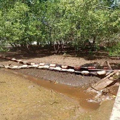 Kilang Pertamina Sungai Pakning Sebut Tumpahan minyak di Laut bukan dari Fasilitas Perusahaan
