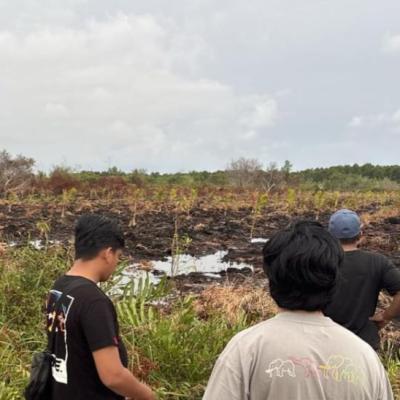 Niat Basmi Tawon Berujung Karhutla, Pria di Bengkalis Jadi Tersangka
