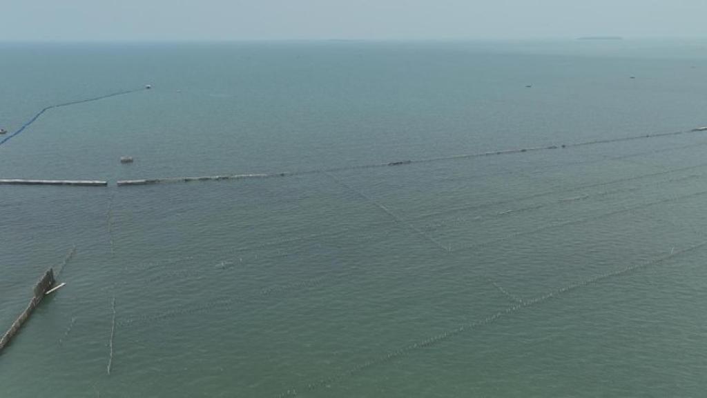 Pemerintah Segera Cabut Penghalang Bambu di Lepas Pantai Tangerang