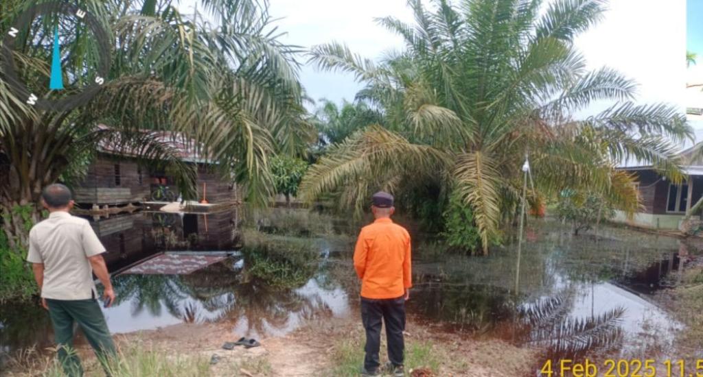 Setelah Banjir, Riau Hadapi Tantangan Endapan Air yang Gganggu Perkebunan