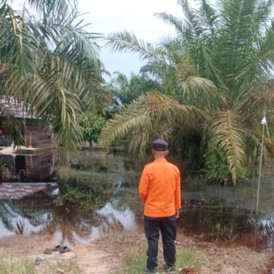 Setelah Banjir, Riau Hadapi Tantangan Endapan Air yang Gganggu Perkebunan