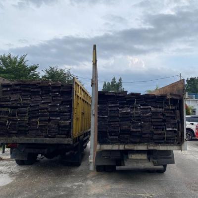 Bawa Kayu Tanpa Dokumen Sah, Dua Supir Truk Diamankan Ditreskrimsus Polda Riau