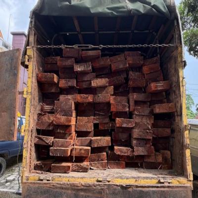 Polisi Sita 10 Kubik Kayu Berasal dari Hutan Konservasi Giam Siak Kecil