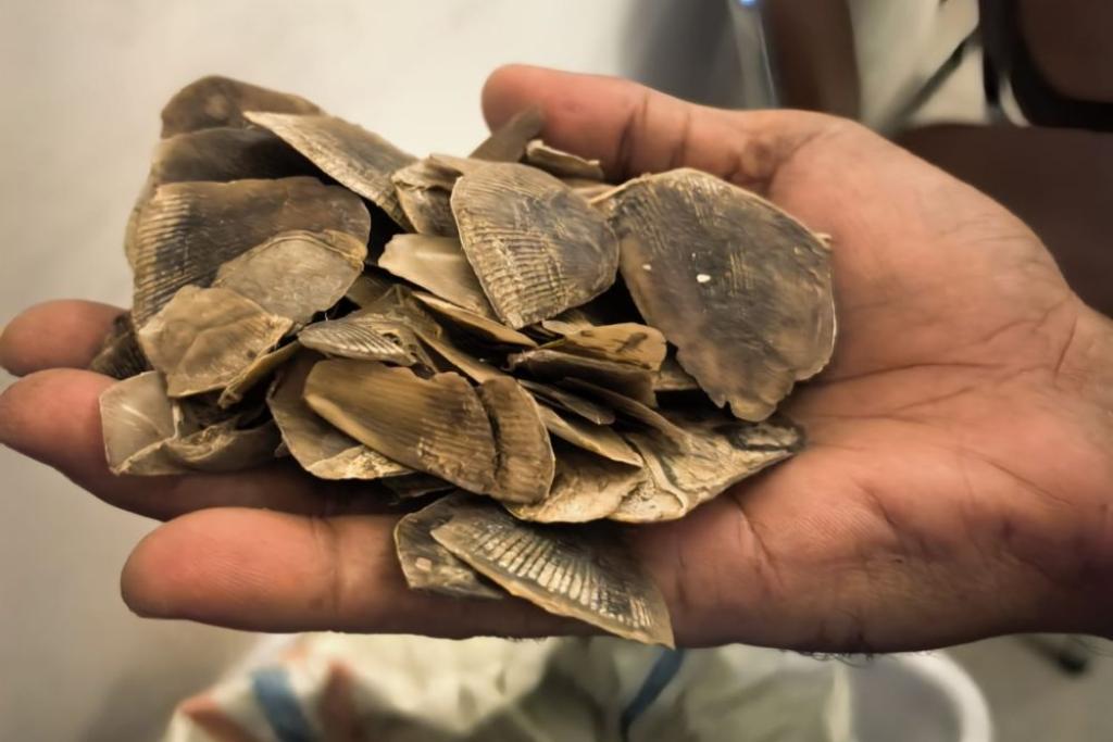 Hendak Jual  30 Kg Sisik Tenggiling Pria di Rokan Hilir Ditangkap Polisi