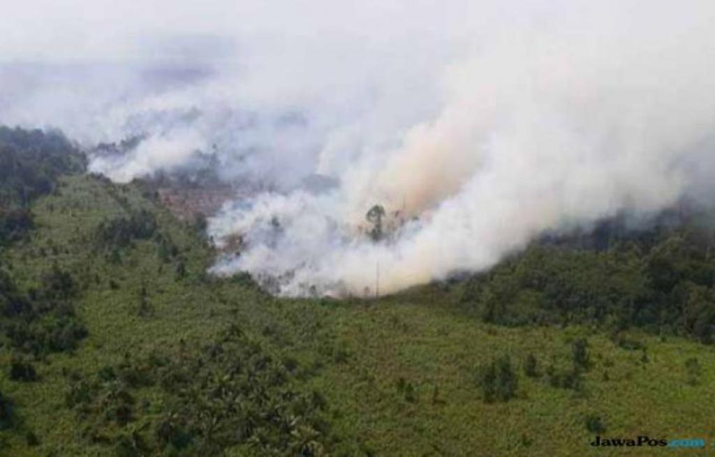 42 Titik Panas Terdeteksi di Sumatera Pagi ini, Riau Paling Banyak