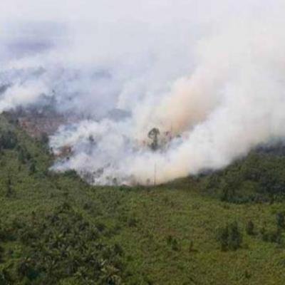 42 Titik Panas Terdeteksi di Sumatera Pagi ini, Riau Paling Banyak