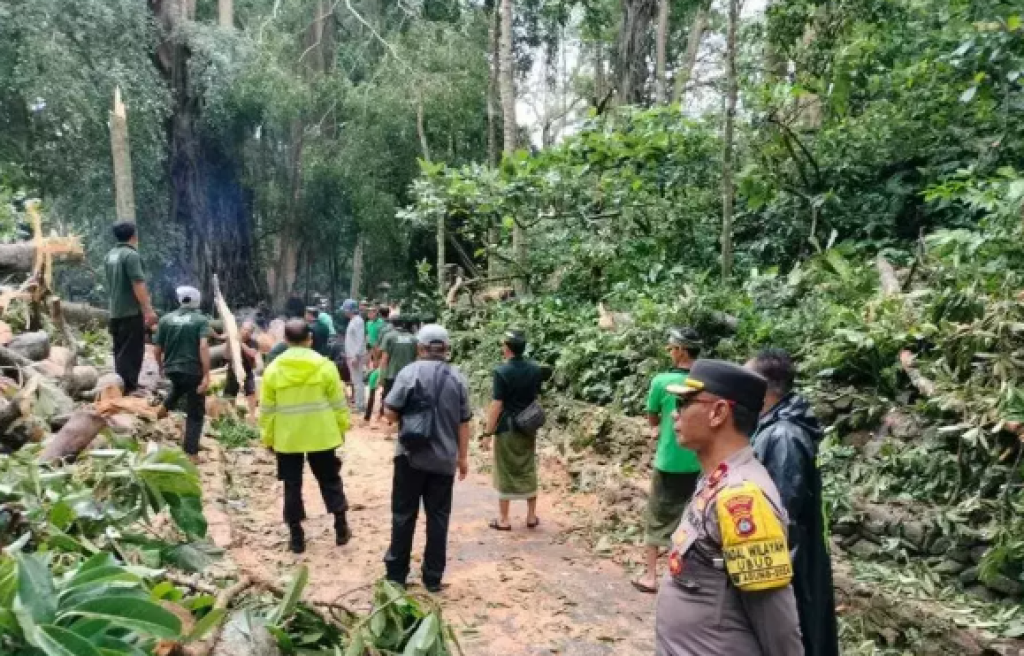 Sepanjang Tahun 2024, 15 Turis Asing Meninggal Akibat Longsor dan Kecelakaan di Bali