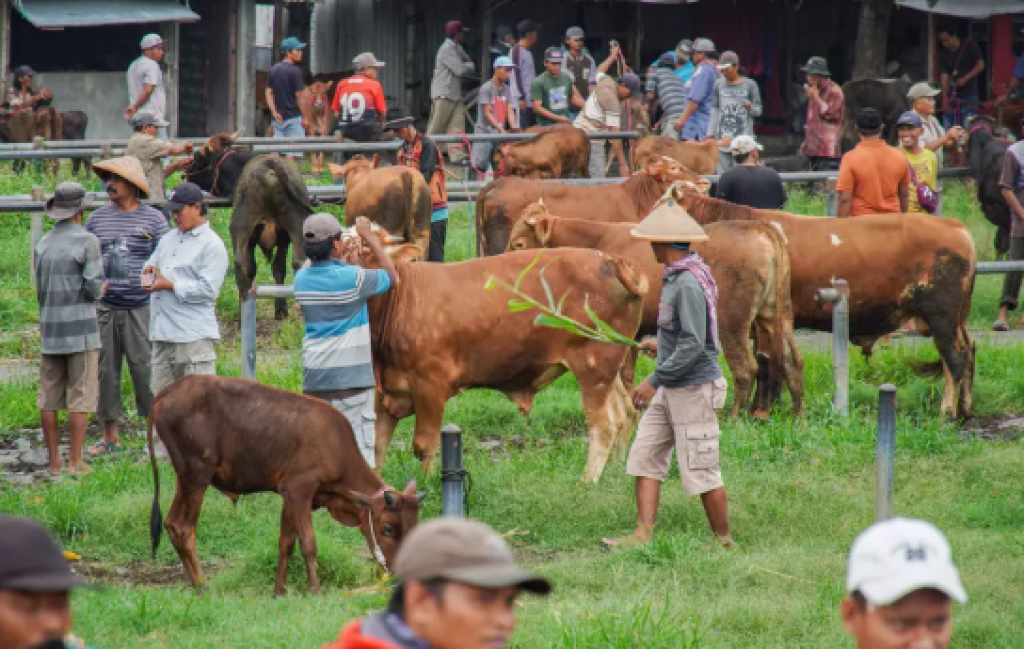 Pasar Sapi di Tulungagung Ditutup Akibat Wabah Penyakit Kuku dan Mulut