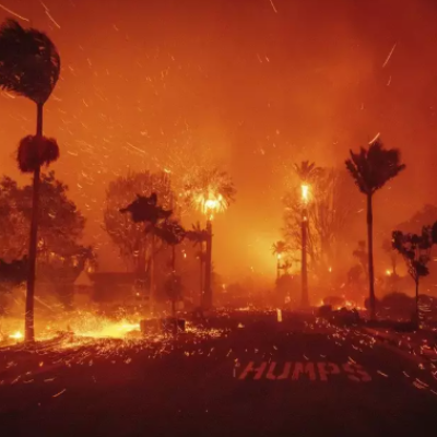 Billy Crystal dan Paris Hilton Kehilangan Rumah Akibat Kebakaran di Los Angeles