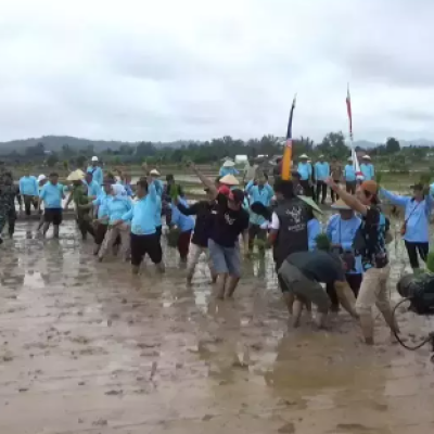 Pemerintah Kaltim Ubah Lahan Bekas Tambang Batu Bara Jadi Sawah