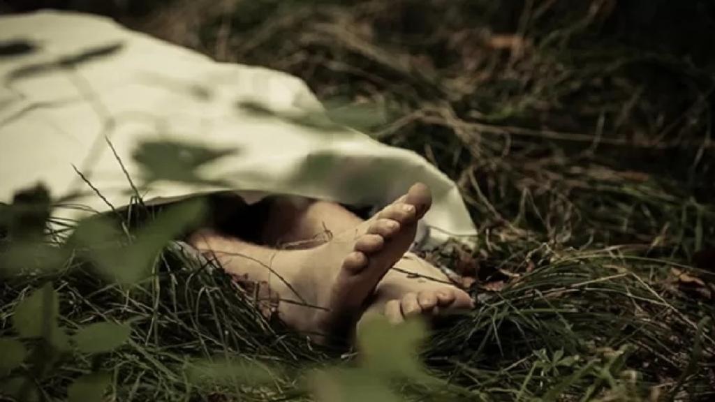 Penemuan Tengkorak Manusia di Perkebunan Sawit Gegerkan Warga Peranap Inhu