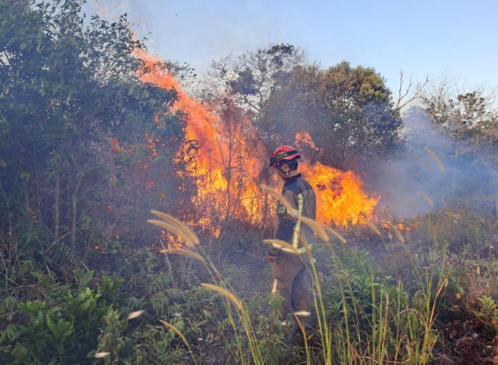 24 Hotspot Terdeteksi di Riau, Ini Sebarannya
