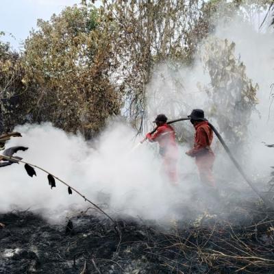 Sejak Awal 2026, Polda Riau Amankan 17 Tersangka Pembakar Lahan