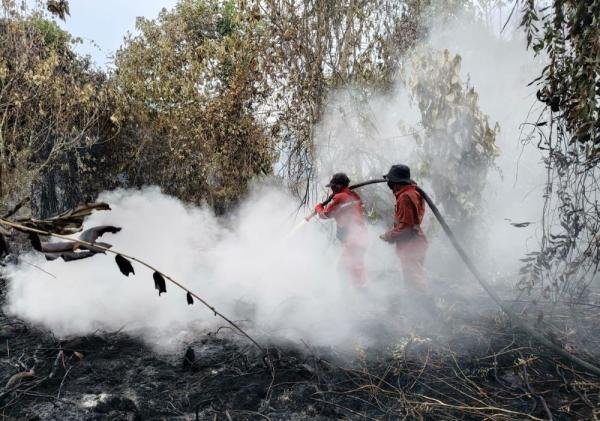 84 Hotspot Terdeteksi di Inhu, Penanganan Karhutla Masih Berlangsung