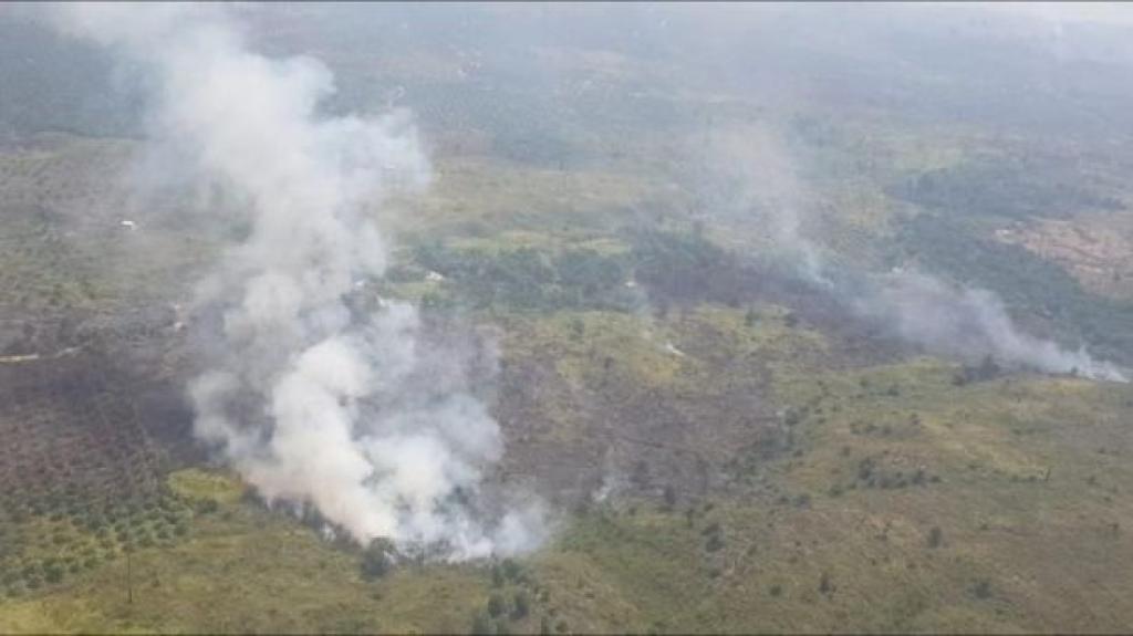 BMKG Catat 19 Titik Panas di Sumatera, Dumai Riau Terdeteksi Satu Hotspot