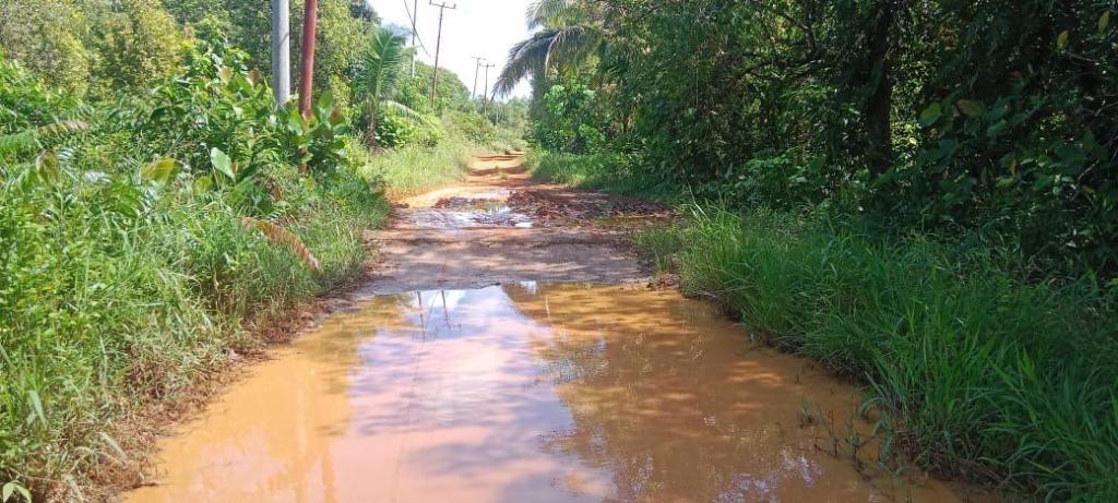Tokoh Muda Bunguran Utara Soroti Kondisi Infrastruktur Yang Memprihatinkan