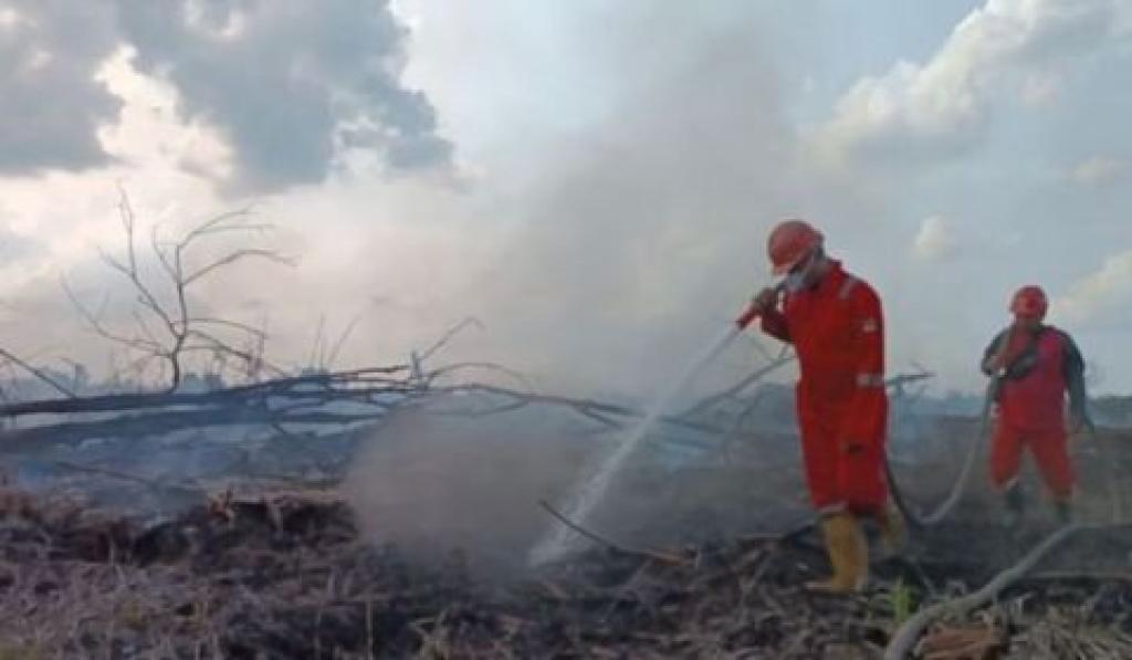 BMKG Catat 23 Titik Panas di Sumatera, Riau Jadi Penyumbang Terbanyak
