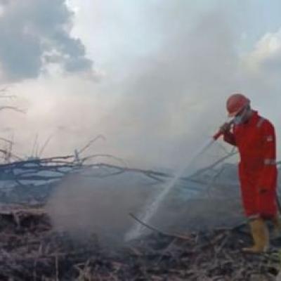 BMKG Catat 23 Titik Panas di Sumatera, Riau Jadi Penyumbang Terbanyak