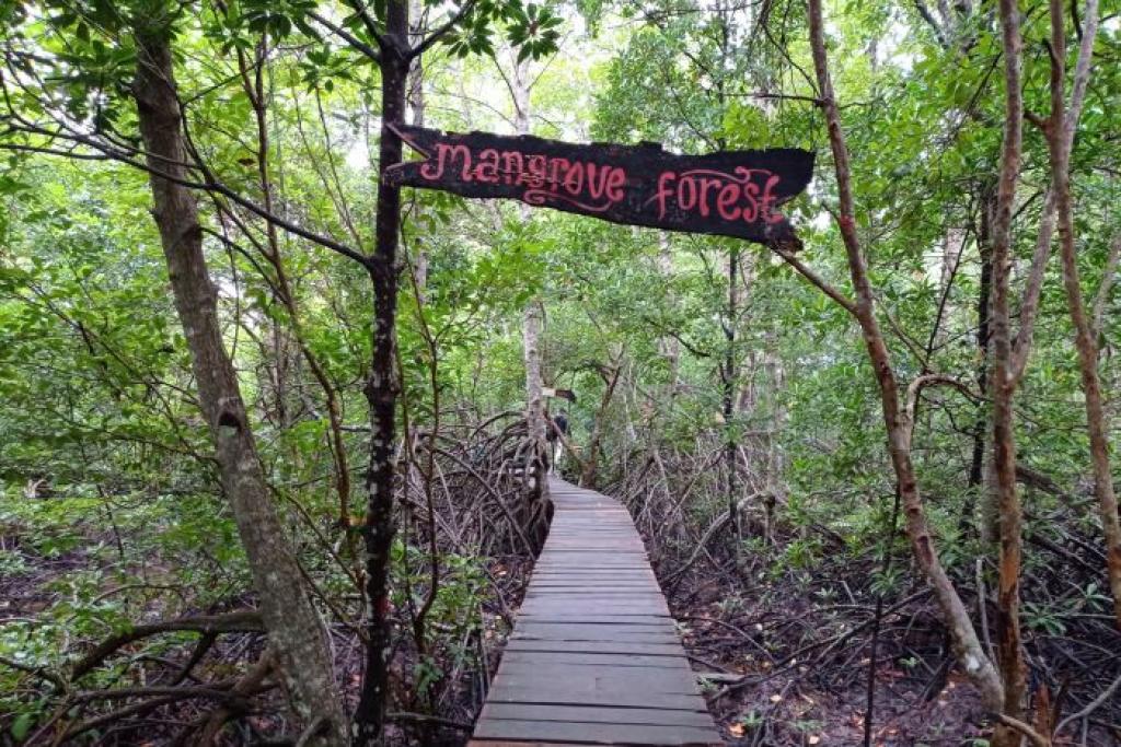 DLHK Riau Dapat Anggaran Rp9 Miliar dari Kementerian untuk Program 2025